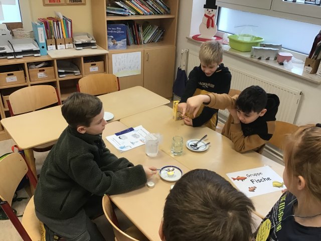 phoca thumb l img 0106